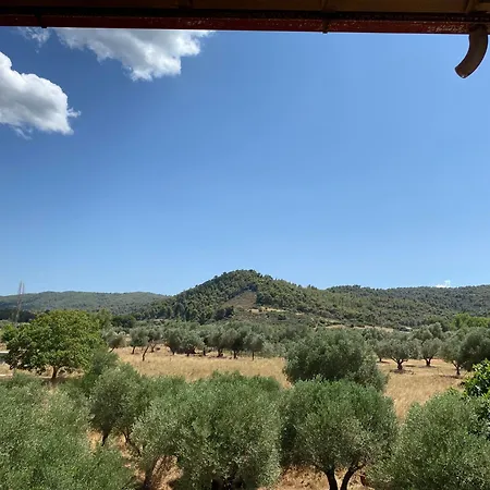 Aphrodites Gardens 2 Ormos Panagias