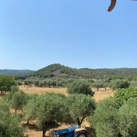 Aphrodites Gardens 2 * Ormos Panagias