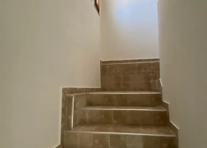 Aphrodites Gardens 2 公寓 奥马斯帕纳吉亚斯