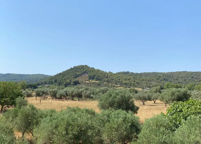 Aphrodites Gardens 2 * 奥马斯帕纳吉亚斯